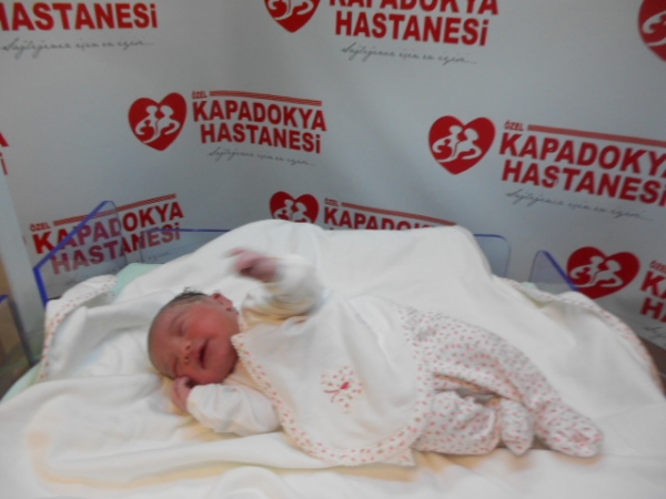 Bebek Sebepli