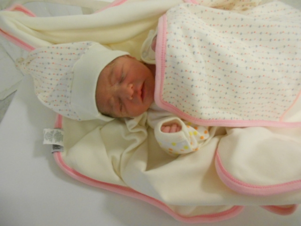 Bebek Yalbırdak