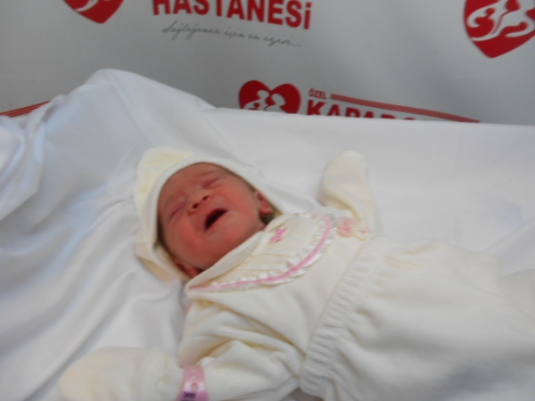 Bebek Şener