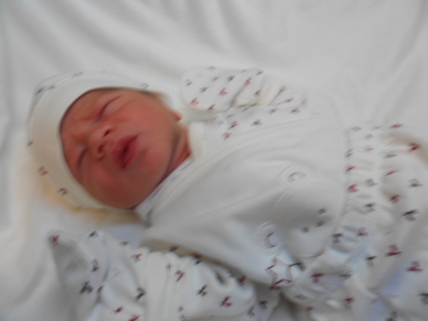 Bebek Arısoy