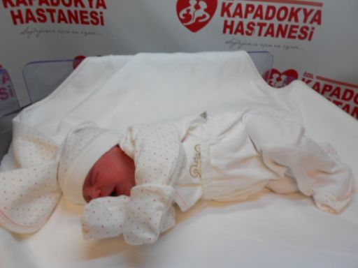 Bebek Aydoğan