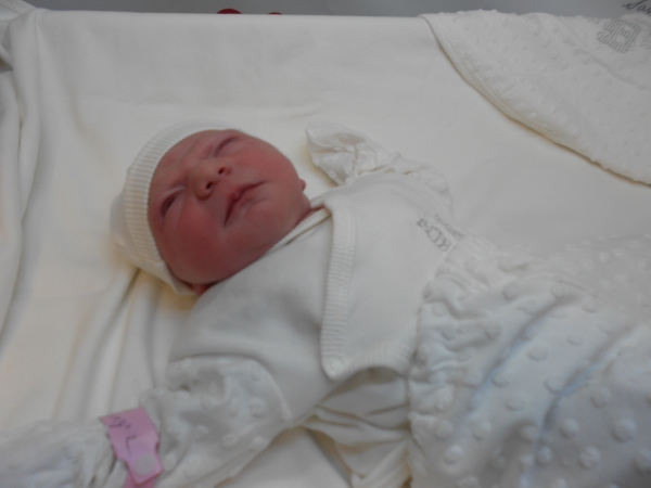 bebek şengiz