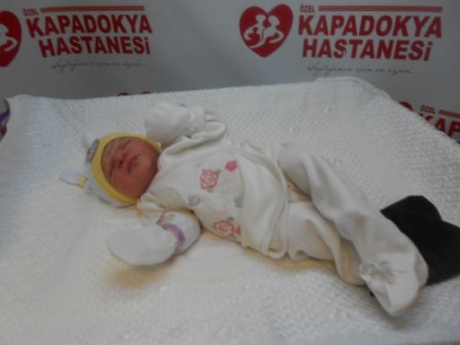 bebek aydoğan