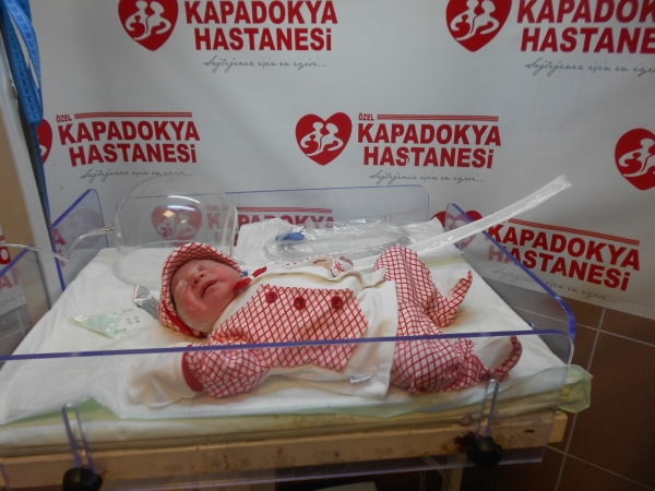 bebek ayıkbaba