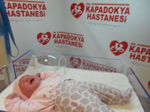 bebek erdoğan