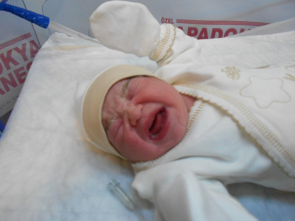 bebek eranil