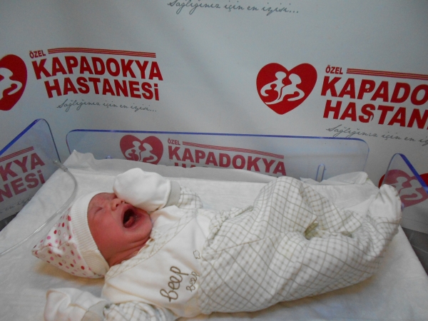 bebek okan