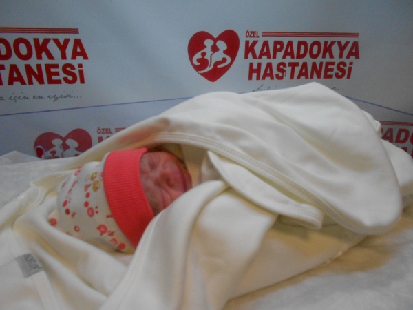 bebek tankaş