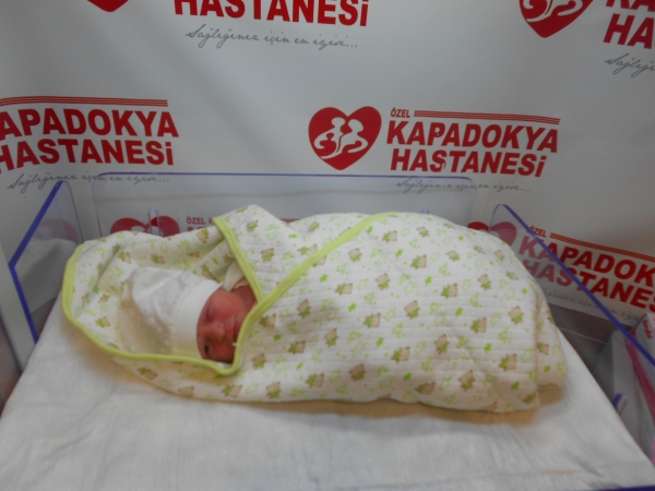 bebek kolay