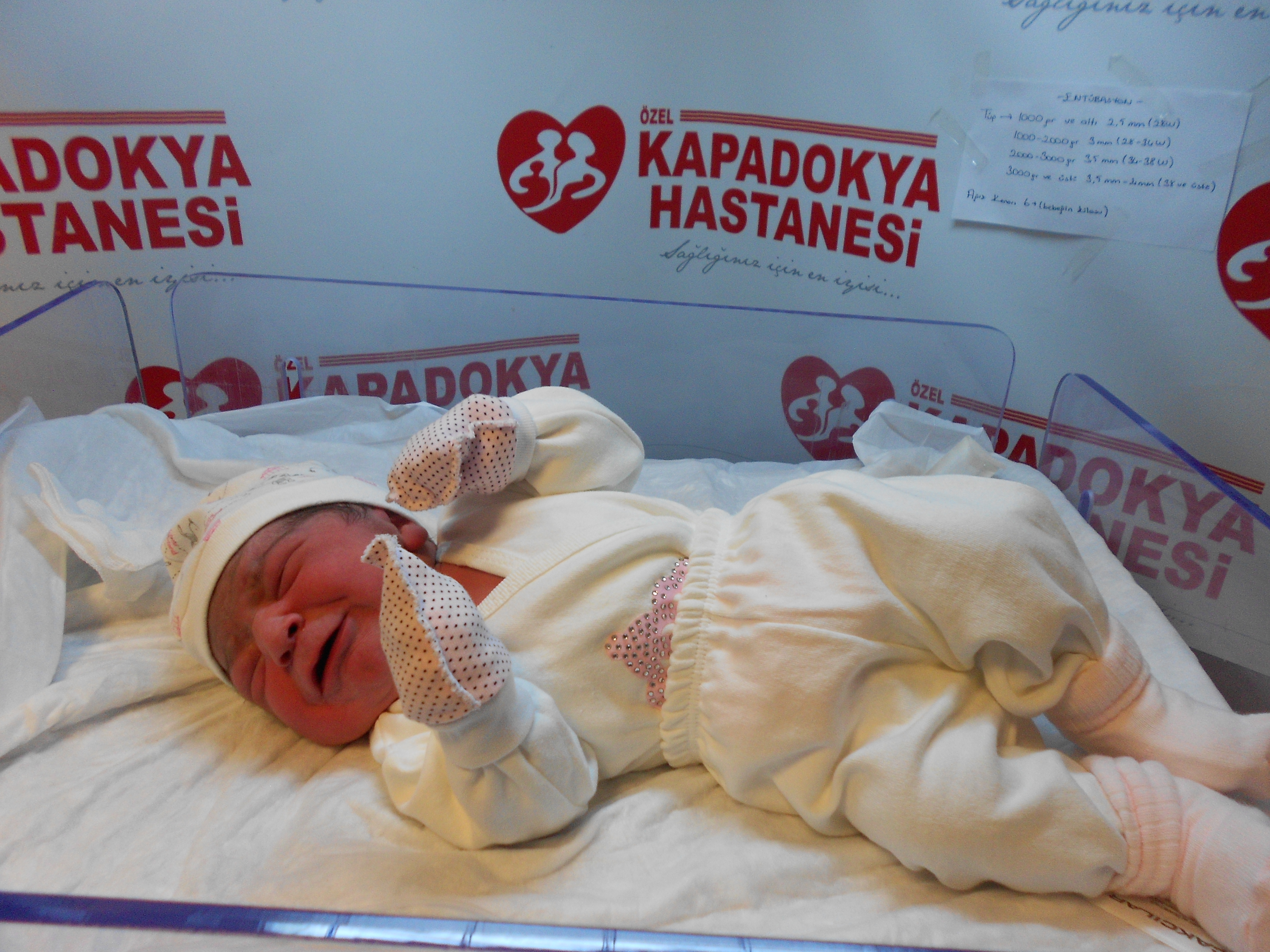 BEBEK TAVUKCU