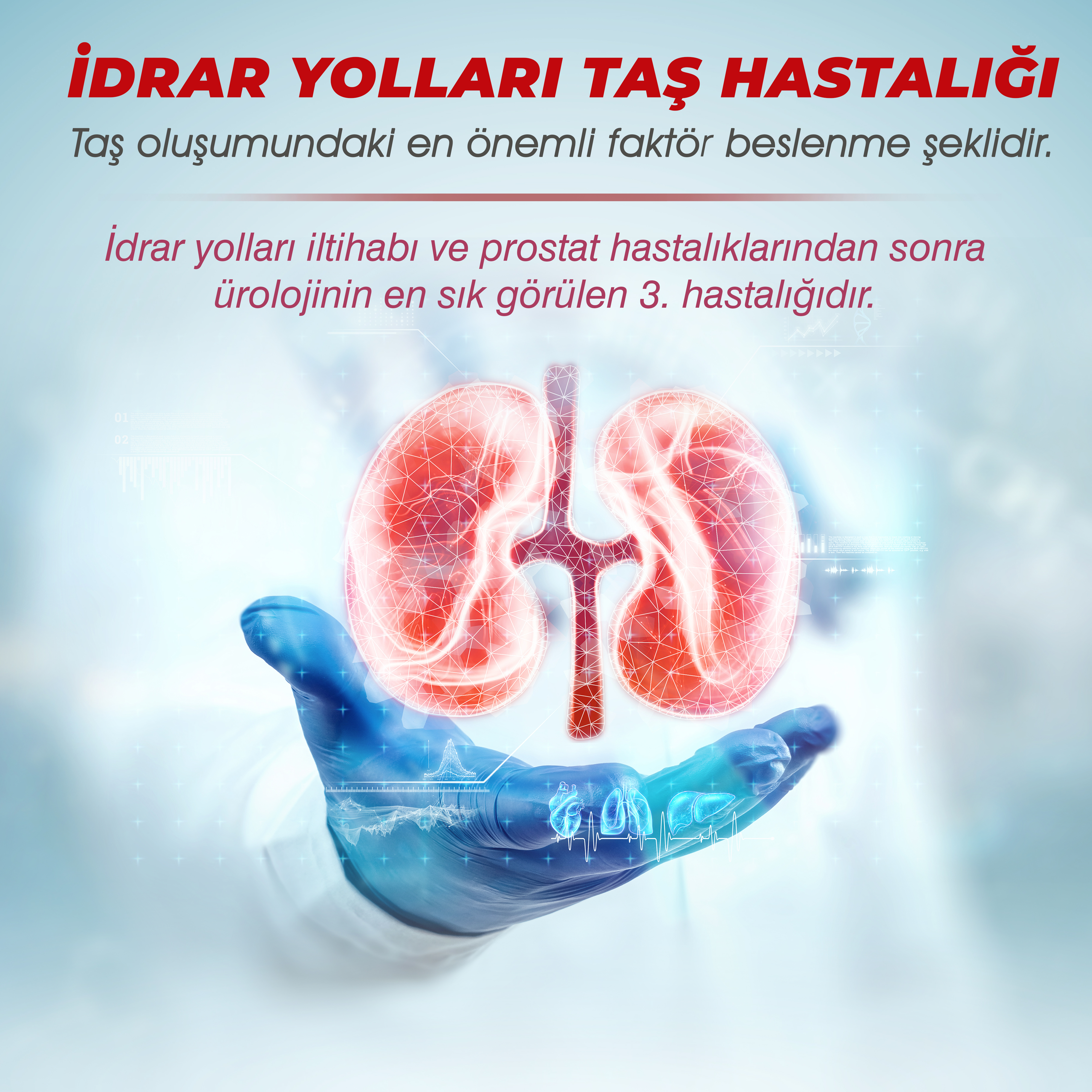 İdrar Yolları Taş Hastalığı